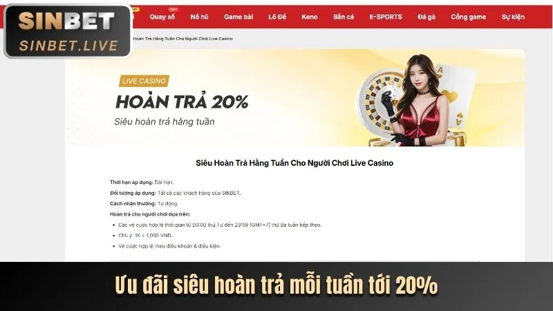 Hoàn trả tiền cược hàng ngày kuwin02